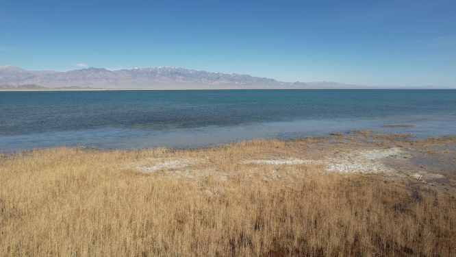 青海小柴旦湖碧绿色湖泊美景
